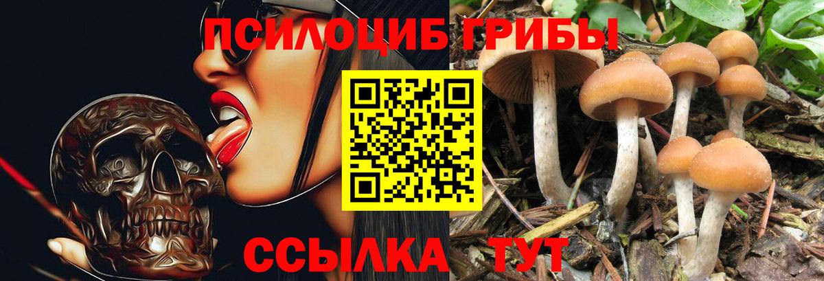 Псилоцибиновые грибы GOLDEN TEACHER  Вход с VPN  Псилоцибиновые грибы Psilocybe  Полысаево 