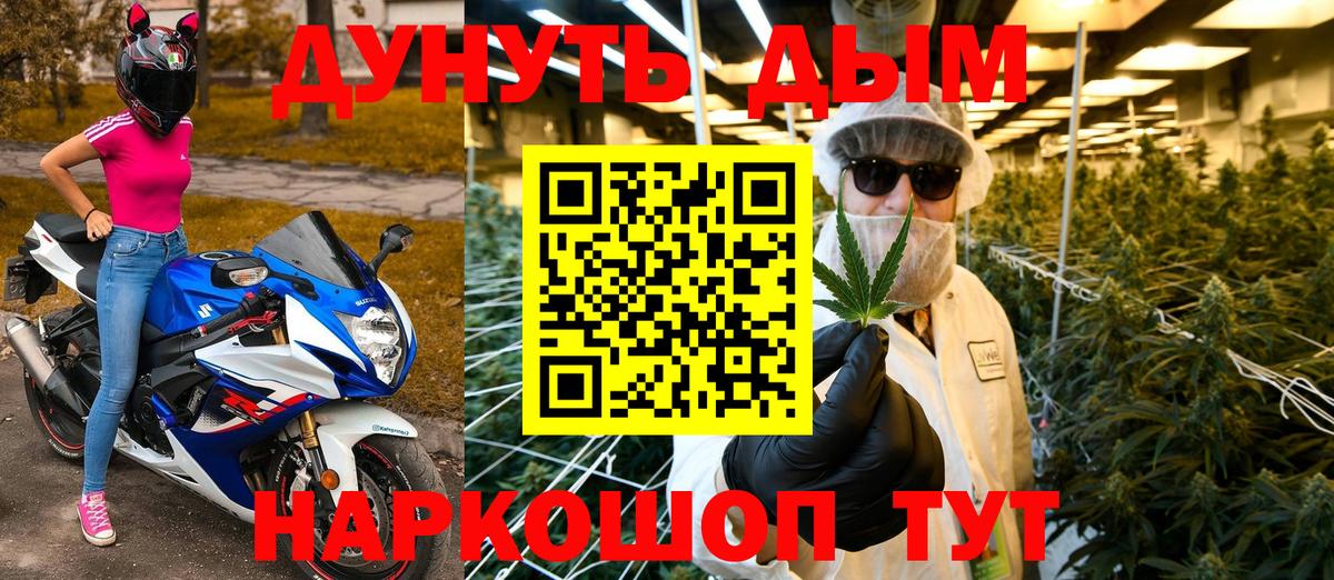 Бошки Шишки план Полысаево